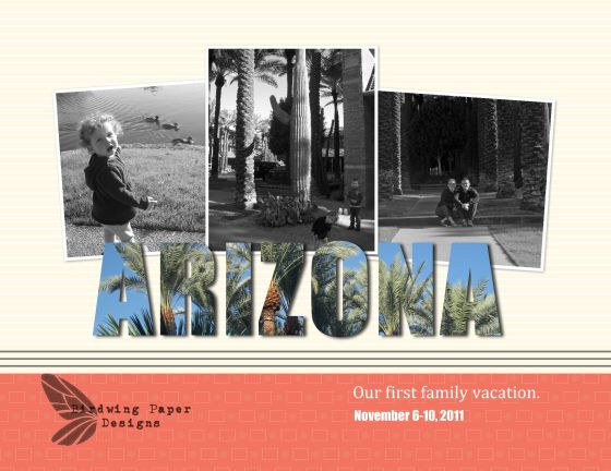 Arizona 2011