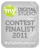 MDScontest_blogbutton_finalist
