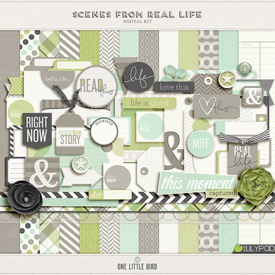 onelittlebird-scenes-preview