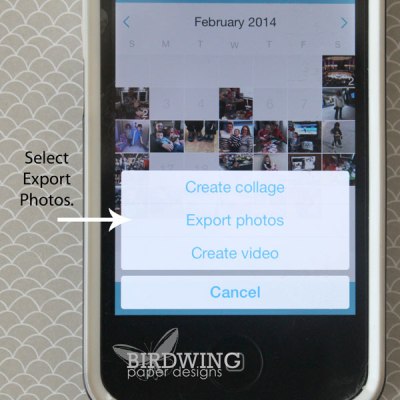 Export Your Collect App Cards - Birdwing Paper Designs