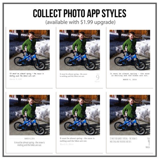 Collect App Styles - Birdwing Paper Designs