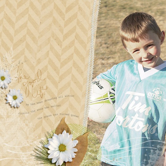 The Good Life -Birdwing Paper Designs