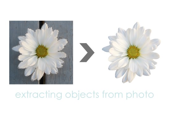 Extracting objects with the pen tool -Birdwing Paper Designs