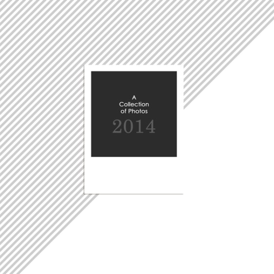 A Collection of Photos - Birdwing Paper Designs