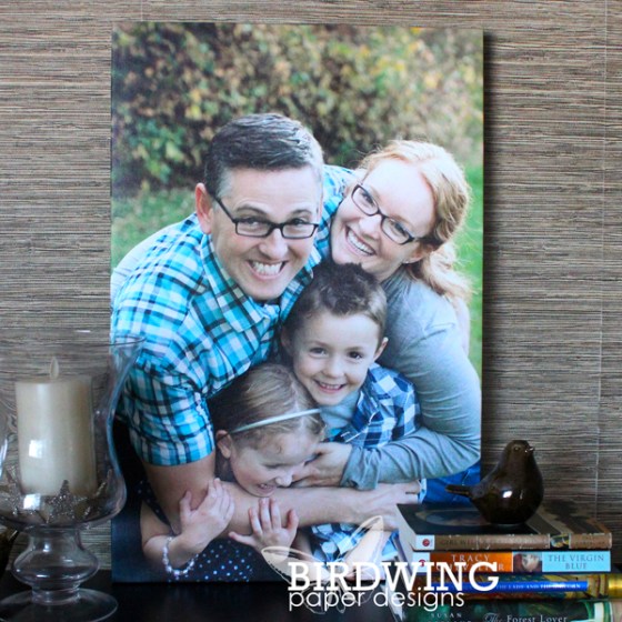 Canvas Print by Ookpix - Birdwing Paper Designs