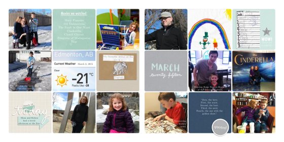 2015 Family Album - Birdwing Paper Designs