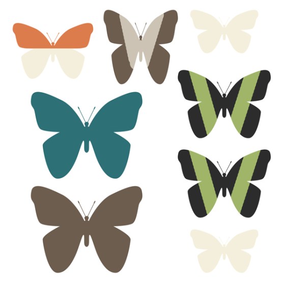 Modernizing a Butterfly Collection - Birdwing Paper Designs