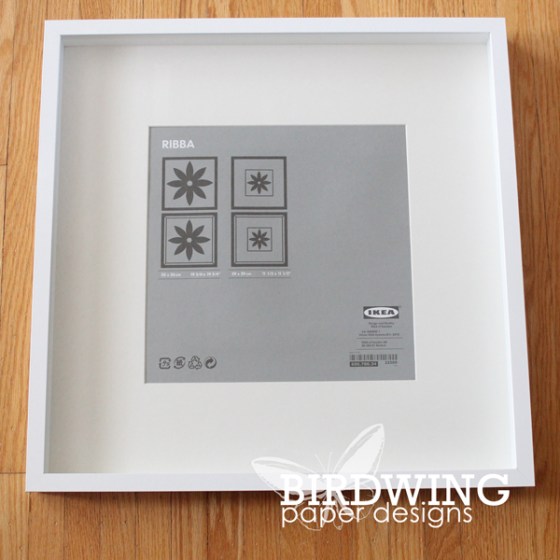 Modernizing a Butterfly Collection - Birdwing Paper Designs