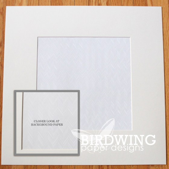 Modernizing a Butterfly Collection - Birdwing Paper Designs