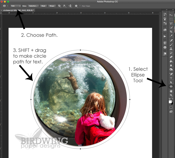 Circular Text in Photoshop - Birdwing Paper Designs