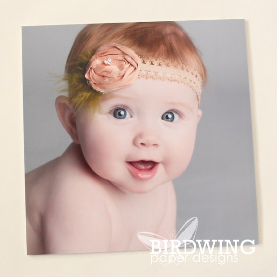 Pressed Clay Wall Art Project - Birdwing Paper Designs