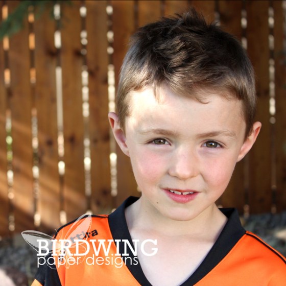 Quick Kids Cards Using Free Custom Illustrations - Birdwing Paper Designs