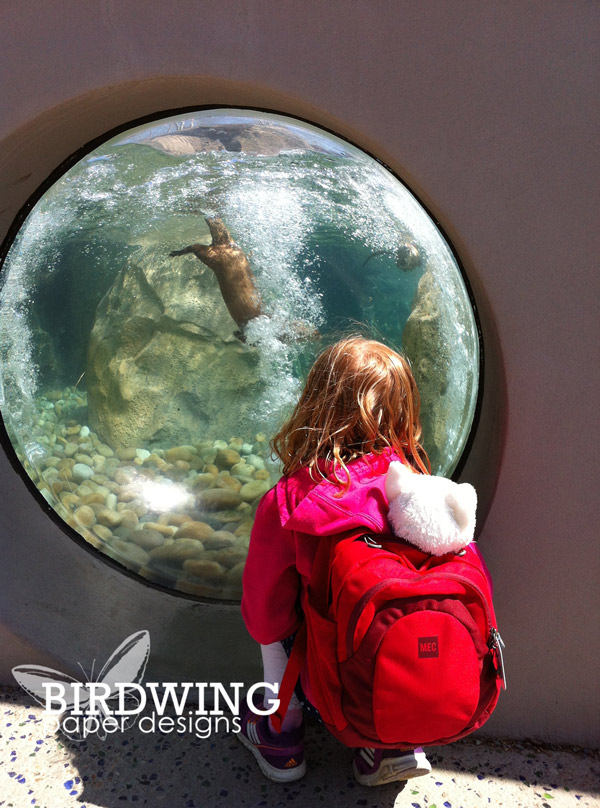 Circular Text in Photoshop - Birdwing Paper Designs