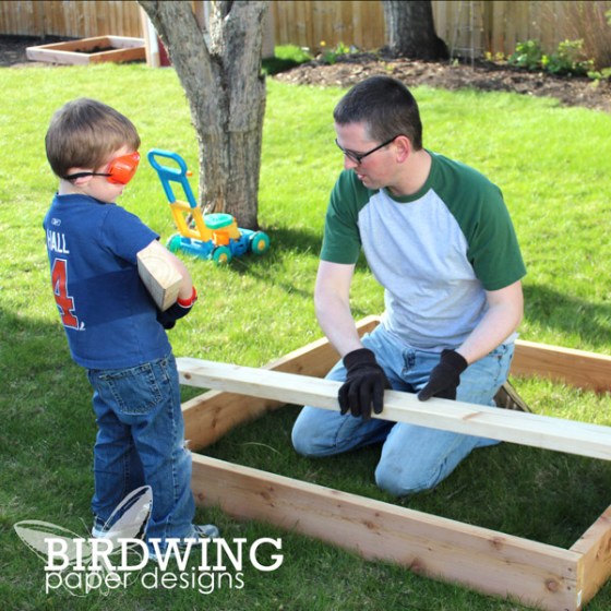 Five Garden Favourites - Birdwing Paper Designs