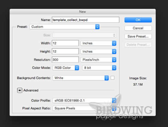 Making a Page Template in Photoshop - Birdwing Paper Designs