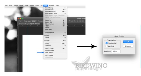 Making a Page Template in Photoshop - Birdwing Paper Designs