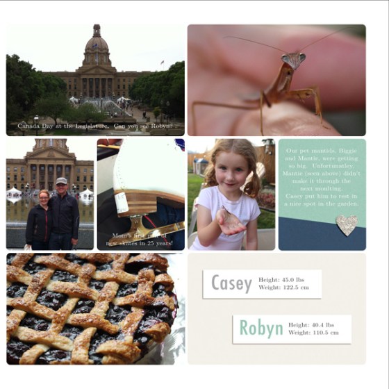 2015 Family Album Summer Update - Birdwing Paper Designs