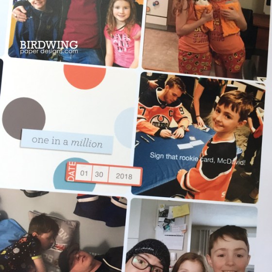 2018 Family Photo Book - Birdwing Paper Designs