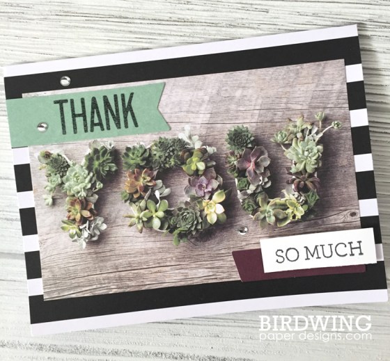 Trendy Succulent Cards - Birdwing Paper Designs