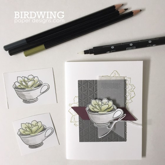 Trendy Succulent Cards - Birdwing Paper Designs