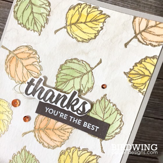 Watercolours with Emboss - Birdwing Paper Designs