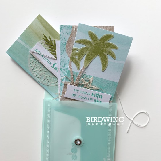 June 2019 Paper Pumpkin from Stampin' Up! - A Little Smile