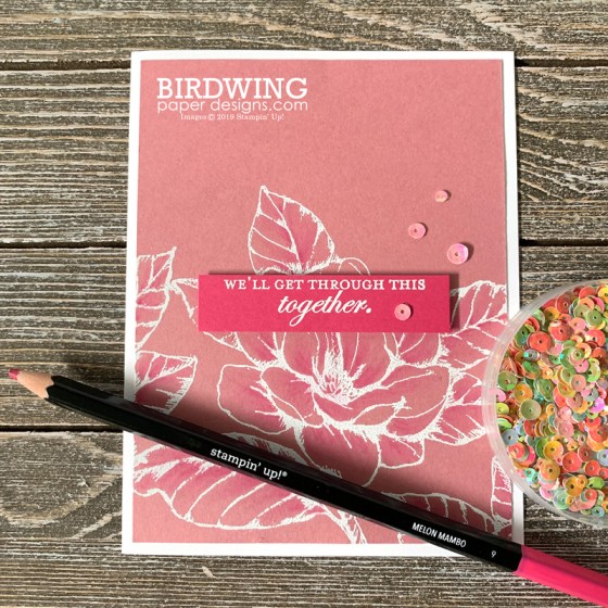 2019-2021 In Colors - Birdwing Paper Designs